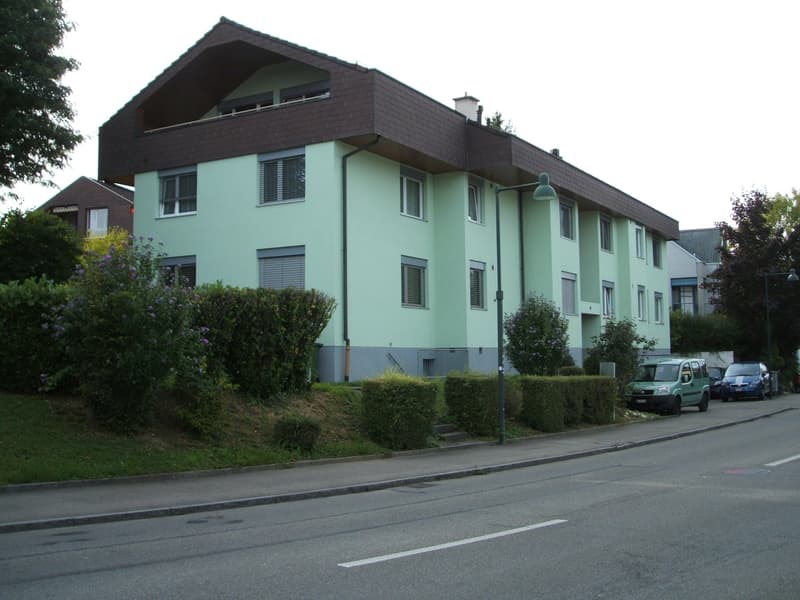 1 1/2 Zimmer Dachwohnung in Therwil (1)