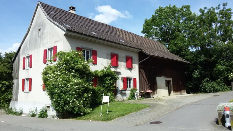 3.5 Zimmerwohnung im Dorfkern von Biel-Benken (1)