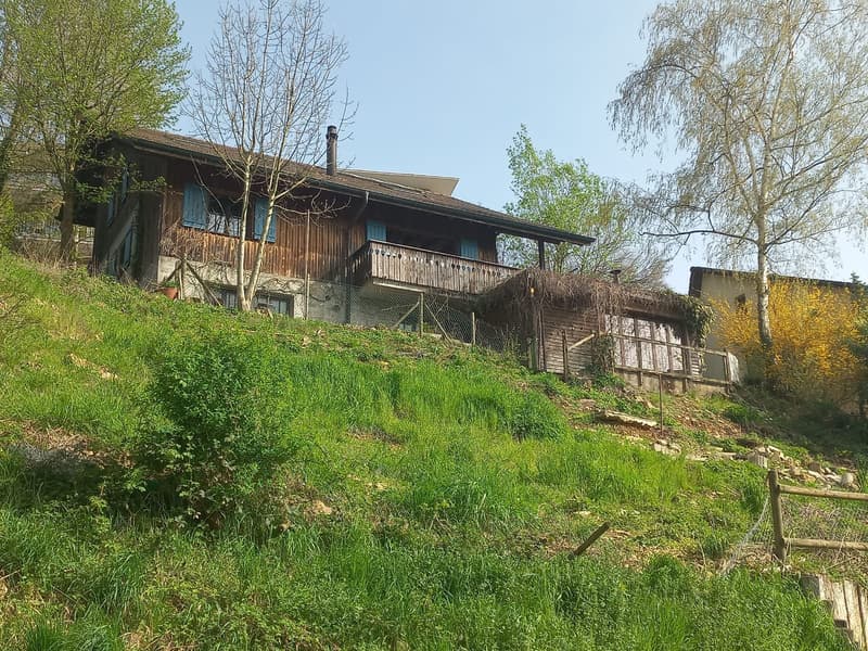 Zwei Familienhaus an idylischer Lage auf 11.5 Aren Bauland. (3)