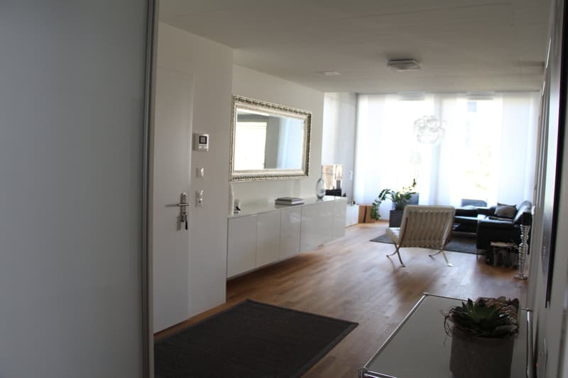 Moderne 4.5-Zi-Wohnung mit grosser Loggia und Einstellhalle (5)