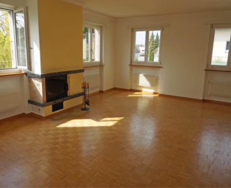 Neu renovierte 3 Zimmer Wohnung in Aarwangen (2)