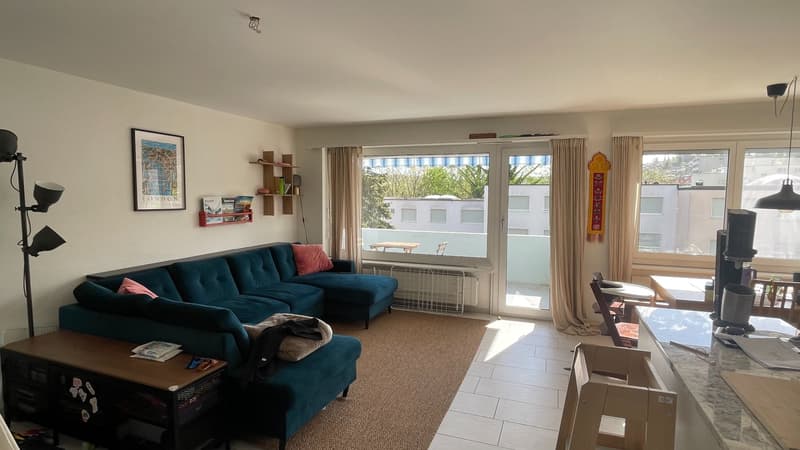 2.5-Zimmer-Wohnung  in Mehrfamilienhauses in Rudolfstetten. (2)