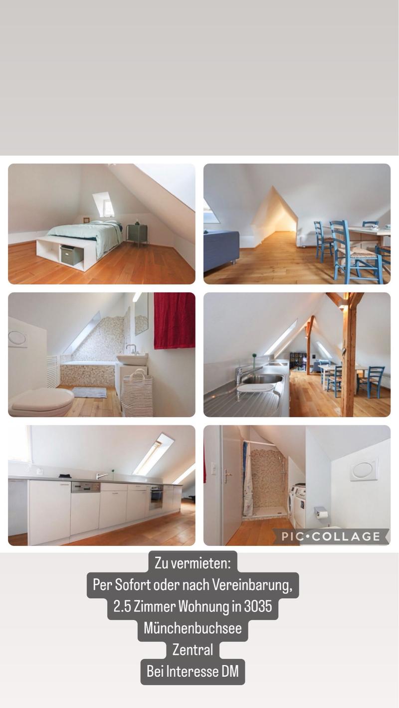 3.5 Zimmer Wohnung in Münchenbuchsee (1)