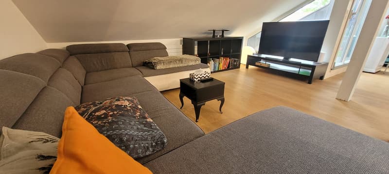 Möblierte Wohnung Bern Breitenrain (5)
