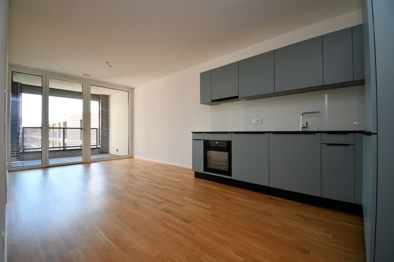 1.5 Zimmer-Wohnung in Bern mieten (1)