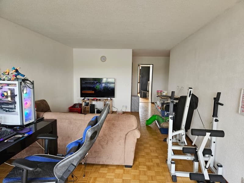 2.5 Zimmer Wohnung in Schmitten (FR) (2)
