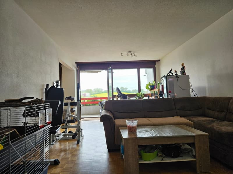 4.5 Zimmer Wohnung in Schmitten (FR) (1)