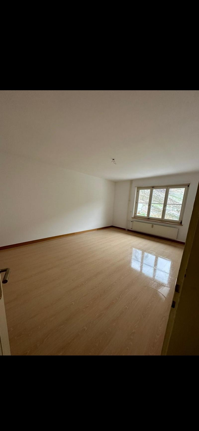 1 Zimmer Wohnung in Waldenburg BL (5)