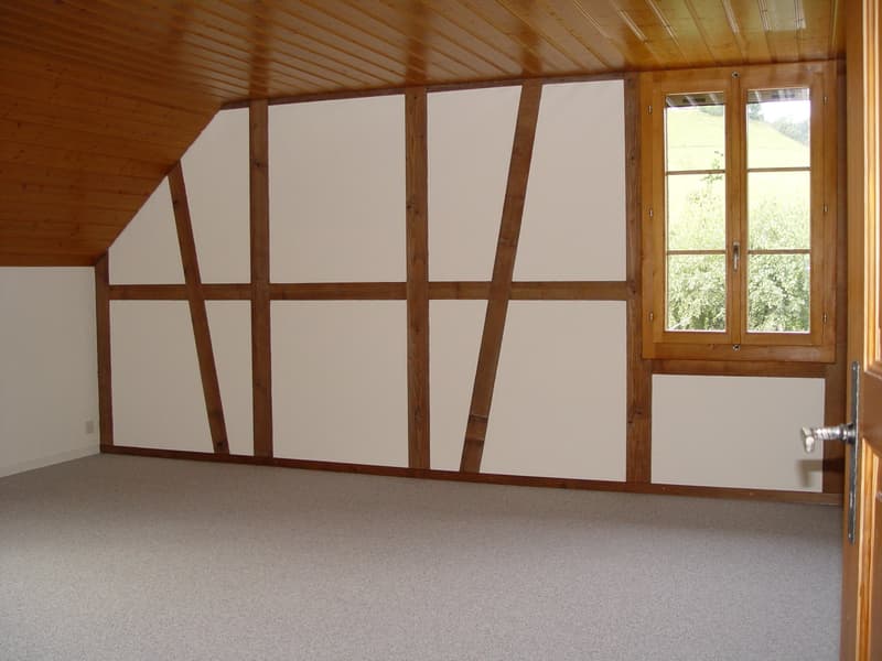 Duplex Dachwohnung in Bauernhaus (5)