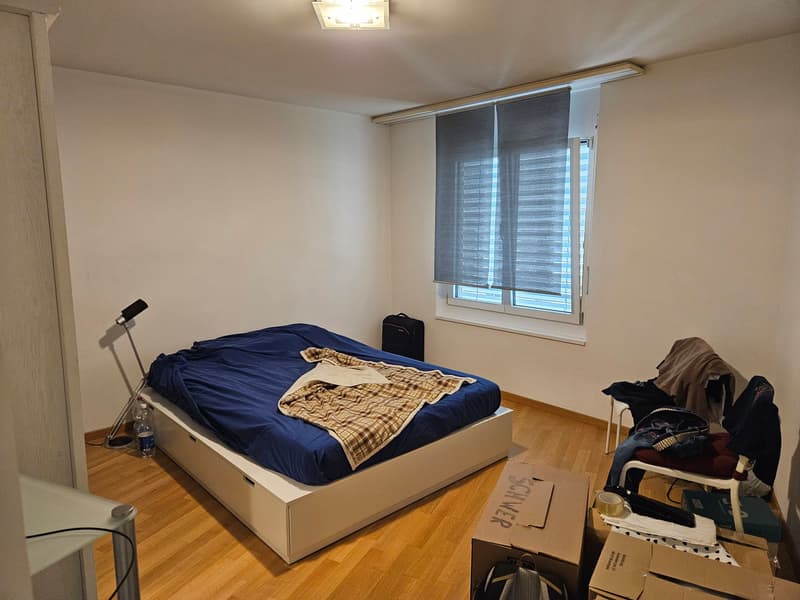 1 room flat with garage (2)