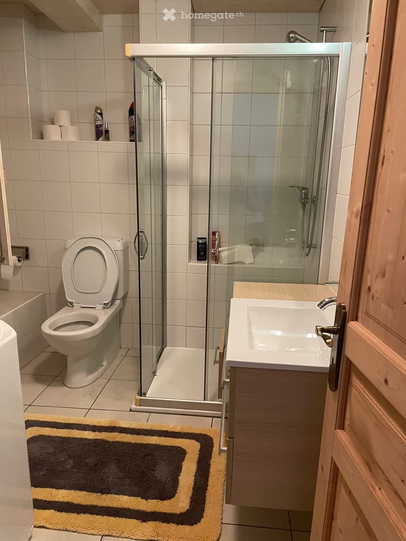 Affitto Ronco-Quinto -TI, Ronco, CHF 910