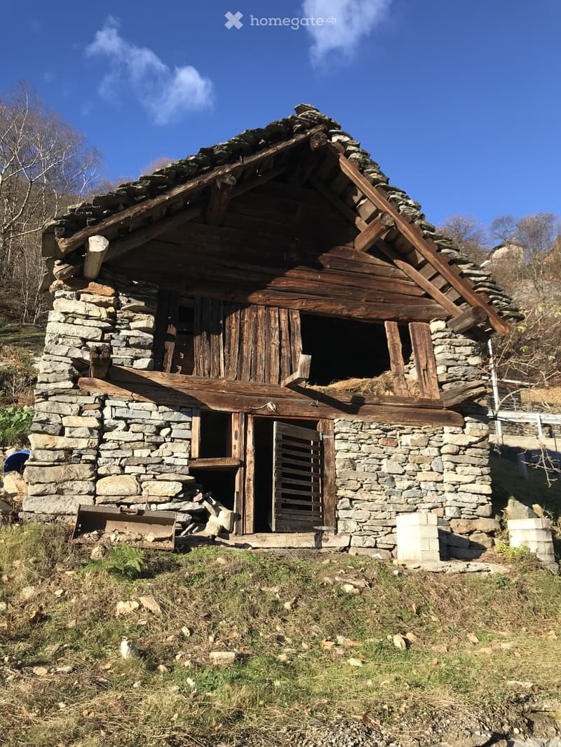 RUSTICO (2)