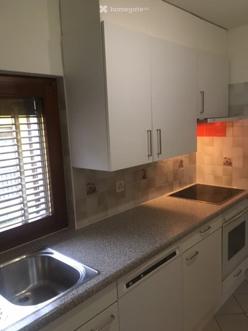 Appartamento in casa storica nel nucleo di Melide (5)