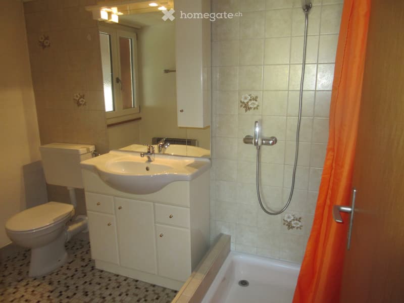 2,5 Zimmer-Wohnung (nach Vereinbarung) (5)