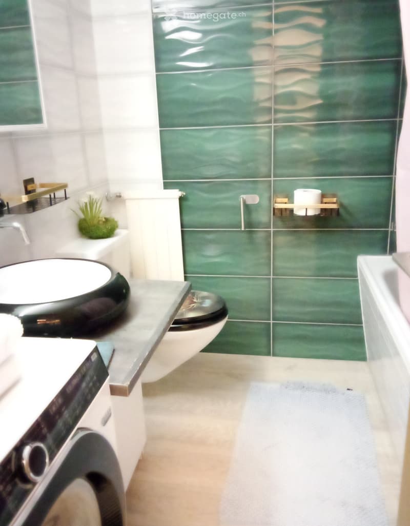 Appartement 53m entre Olten et Aarau (2)