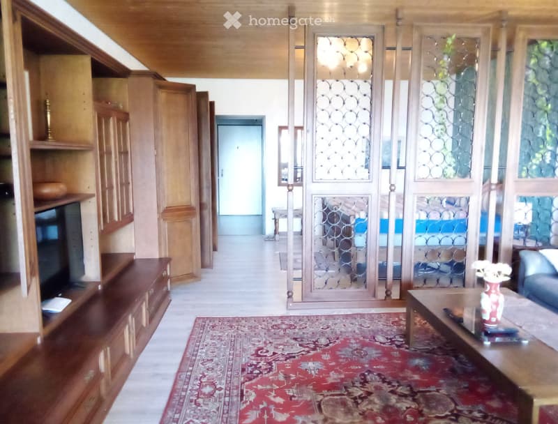 Appartement 53m entre Olten et Aarau (4)