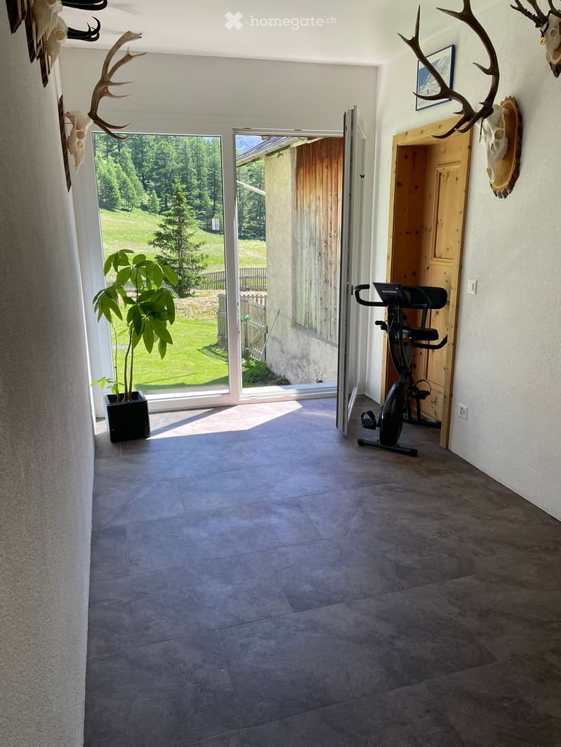 Zu vermieten ab sofort grosse Wohnung (1)