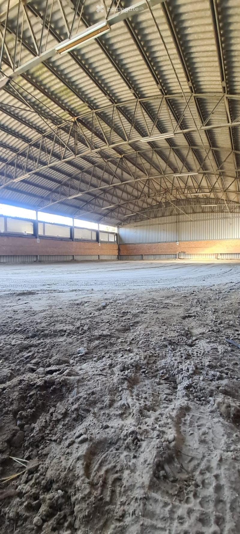 BOX per Cavalli in Affitto (3)