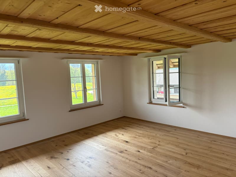 Erstvermietung nach Renovation per sofort o.n. Vereinb. (4)