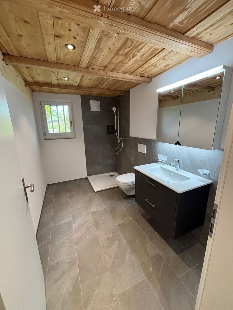 Erstvermietung nach Renovation per sofort o.n. Vereinb. (3)