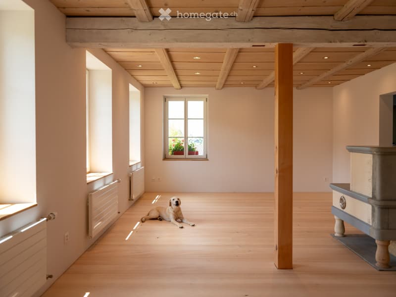 Neue moderne 2.5 Zi. Wohnung mit Charme in Bauernhaus im EG (9)