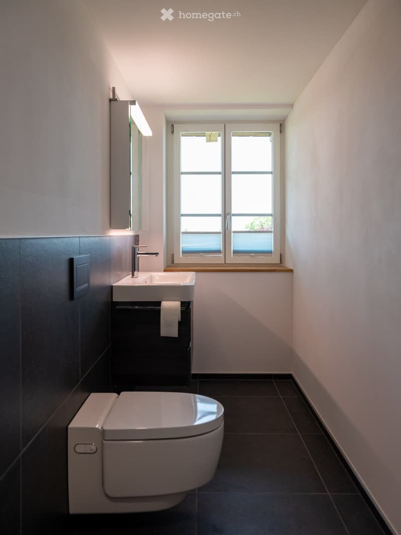 Neue moderne 2.5 Zi. Wohnung mit Charme in Bauernhaus im EG (7)