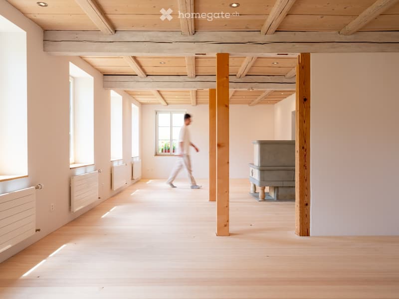 Neue moderne 2.5 Zi. Wohnung mit Charme in Bauernhaus im EG (12)