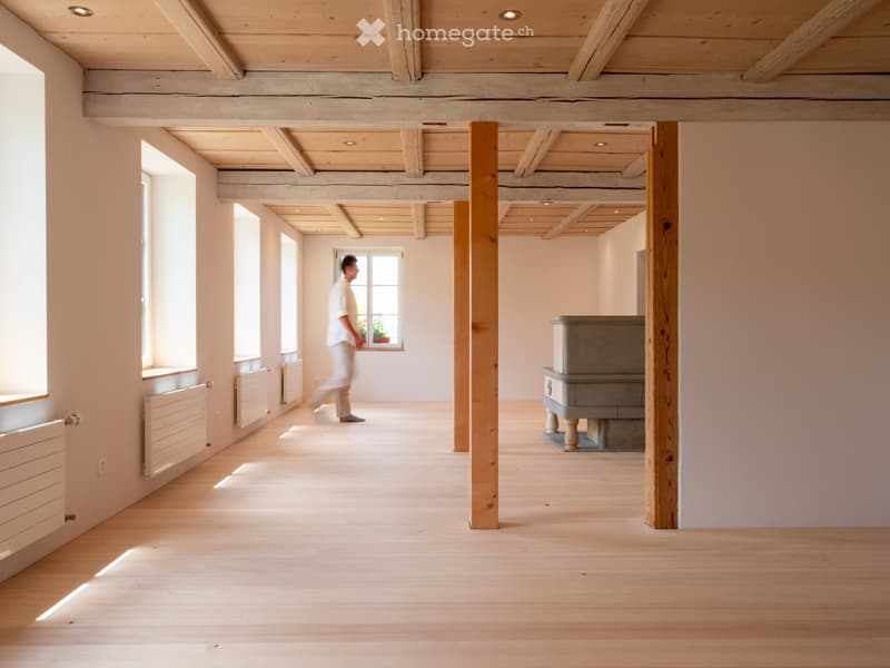 Neue moderne 2.5 Zi. Wohnung mit Charme in Bauernhaus im EG (11)