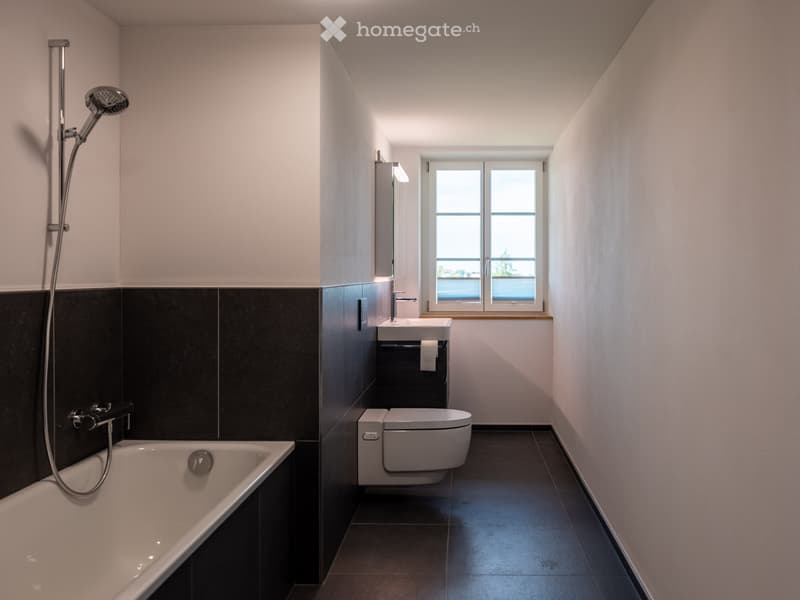 Neue moderne 2.5 Zi. Wohnung mit Charme in Bauernhaus im EG (6)