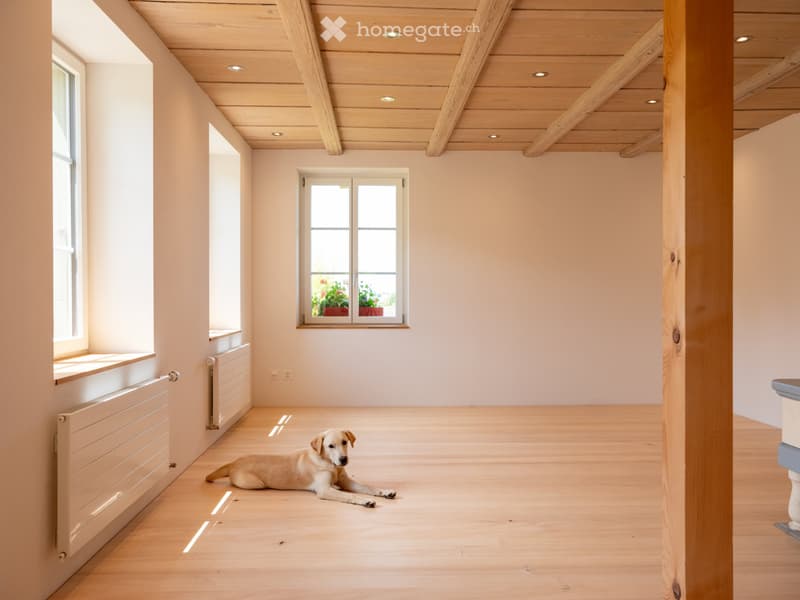 Neue moderne 2.5 Zi. Wohnung mit Charme in Bauernhaus im EG (10)