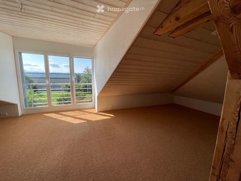 Appartamento attico luminoso 4,5 locali a 2540 Grenchen/SO - casa di 2 famiglie (3)