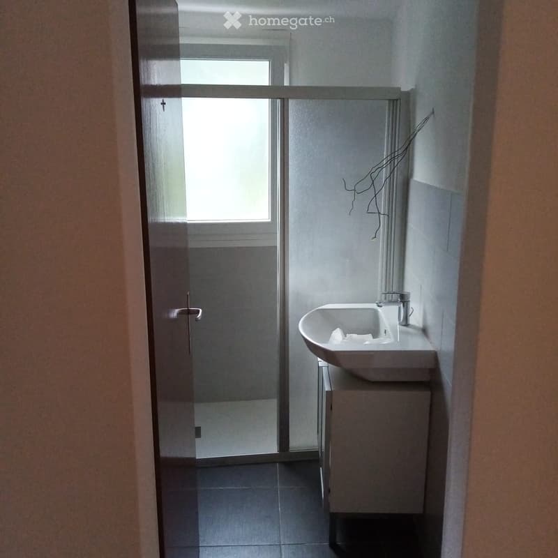 Affitasi casa unifamiliare (3)