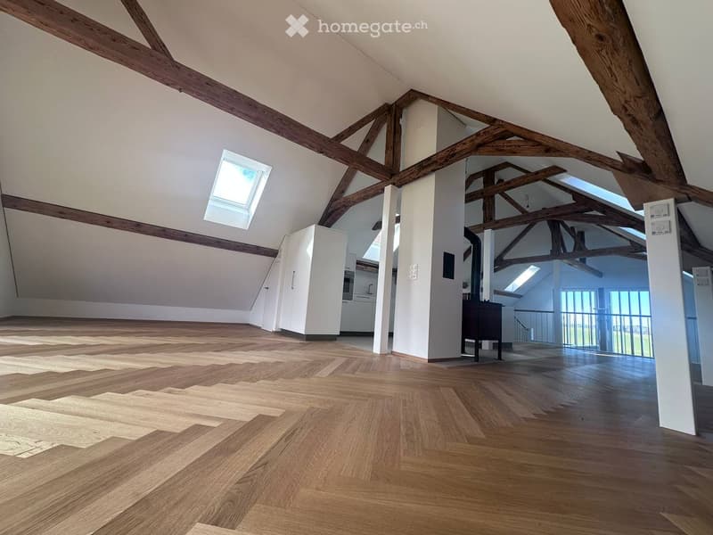 Appartement de standing élevé à proximité de Berne (4)
