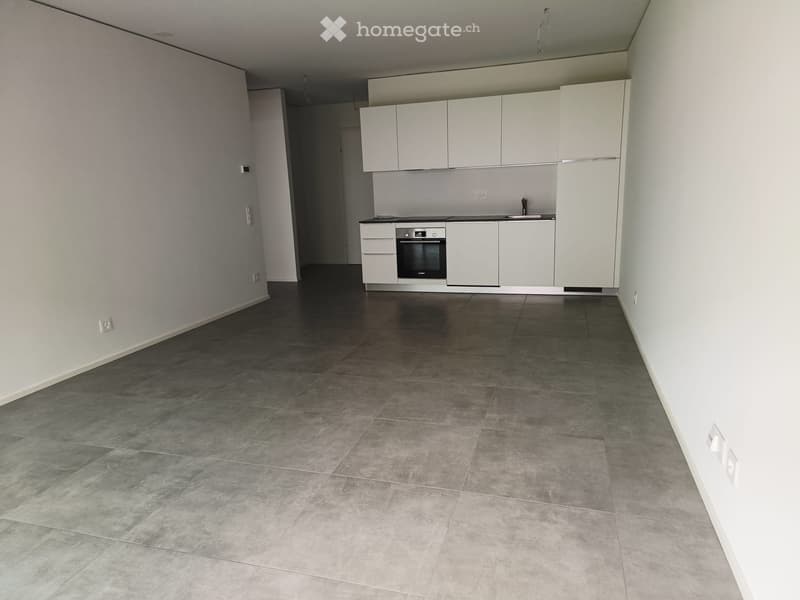 VENDO 2.5 locali Monteggio Nuovo, già a reddito (5)