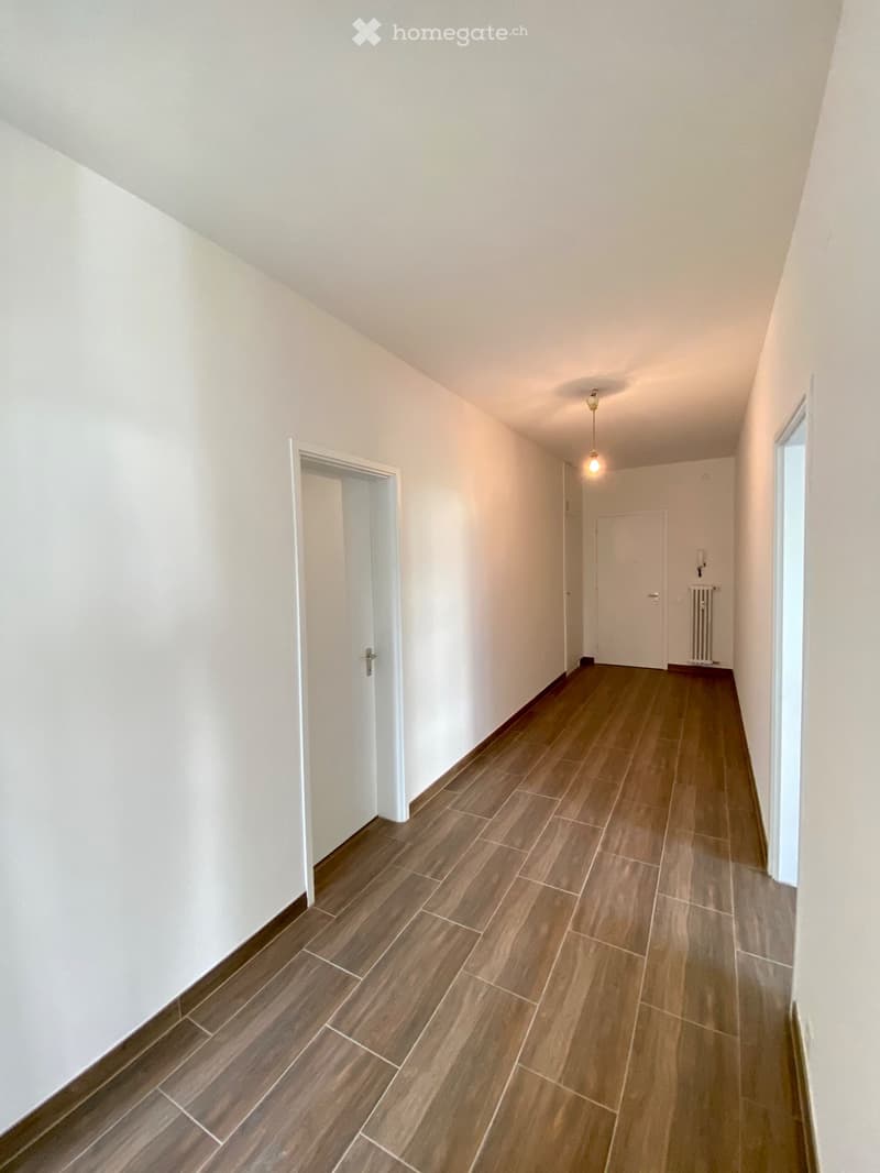 Appartamento  ristrutturato in vendita a Lugano (4)