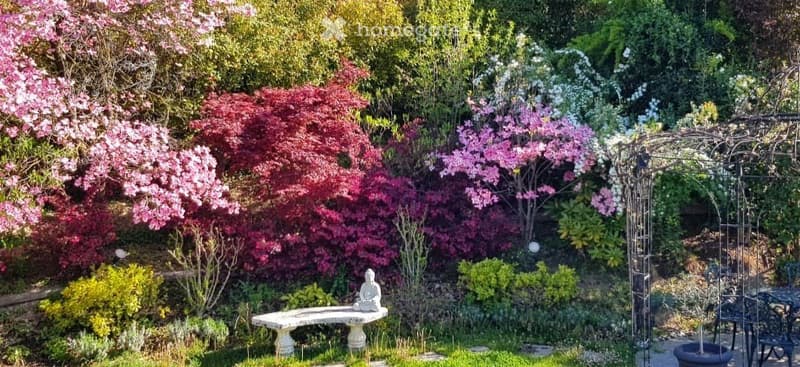 Casa luminosa con giardino privato (5)