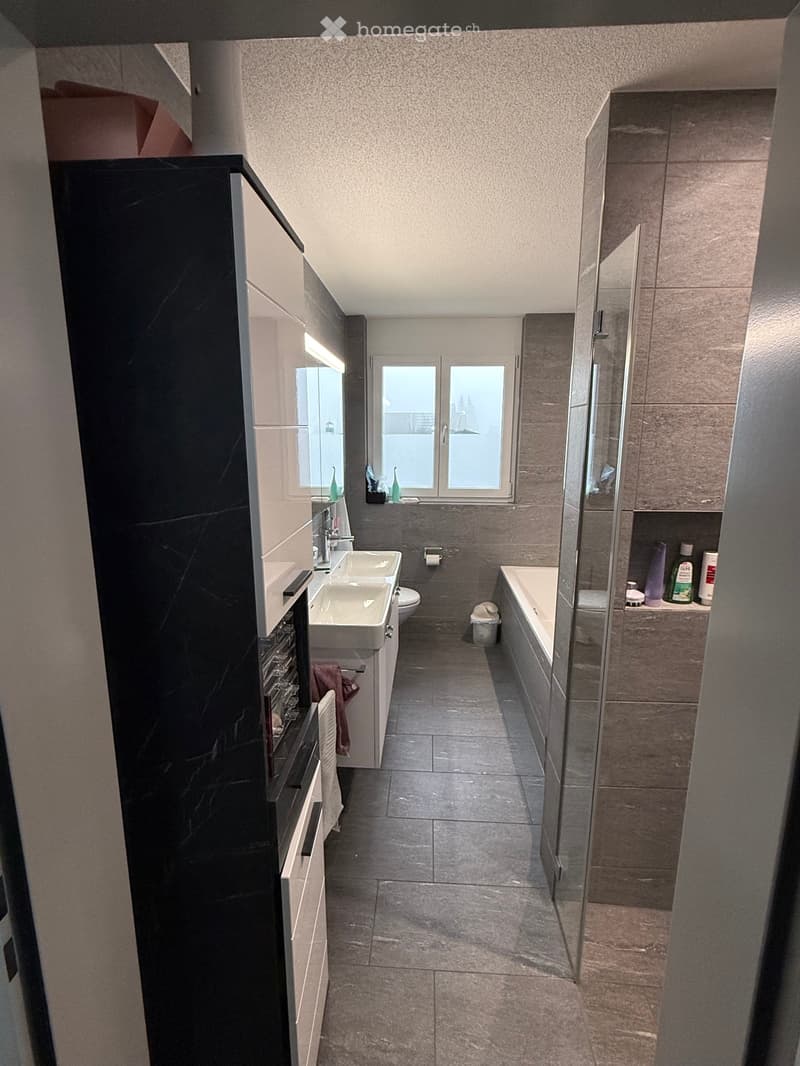 Appartement moderne attique 2.5 pièces avec terrasse (3)