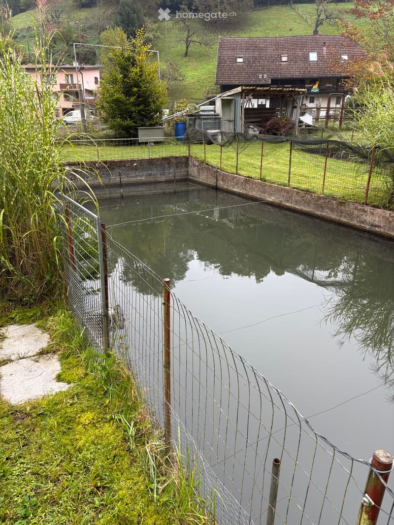 Rustikales Häuschen mit Fischzucht (5)