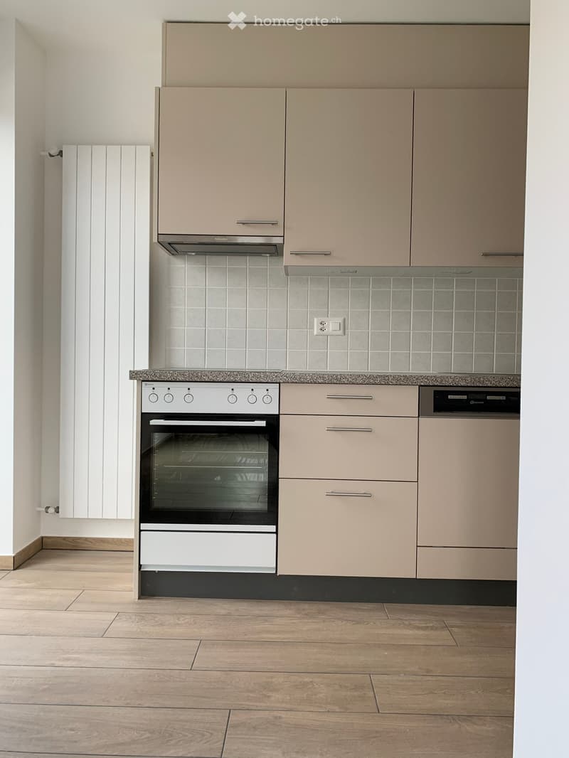 Appartamento 2.5 Ristrutturato a Vira Gambarogno (Locarno) (5)