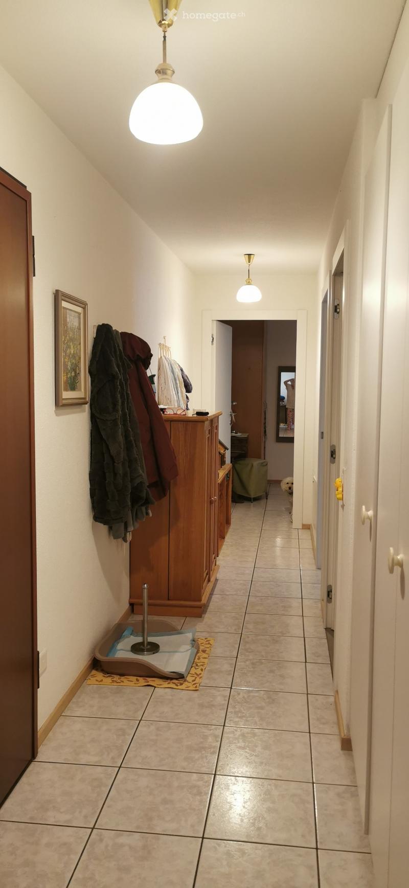 Subentrante appartamento Vacallo (5)