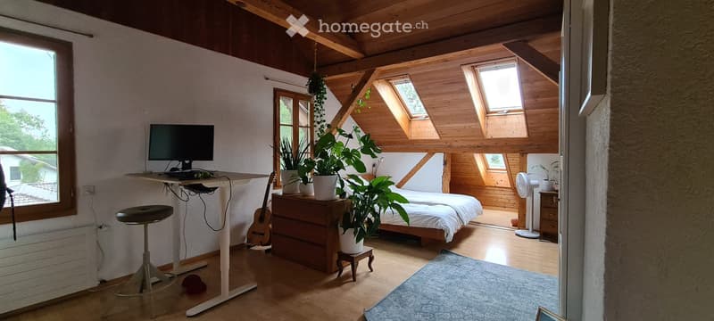 Appartement en mansarde charmant (en sous-location) avec bonheur de poules (4)