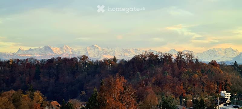 Appartement en mansarde charmant (en sous-location) avec bonheur de poules (3)