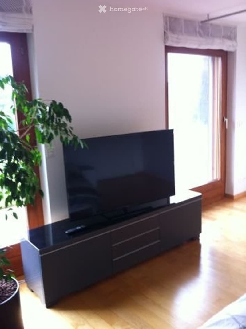 Studio in una posizione da sogno a Schöftland (4)