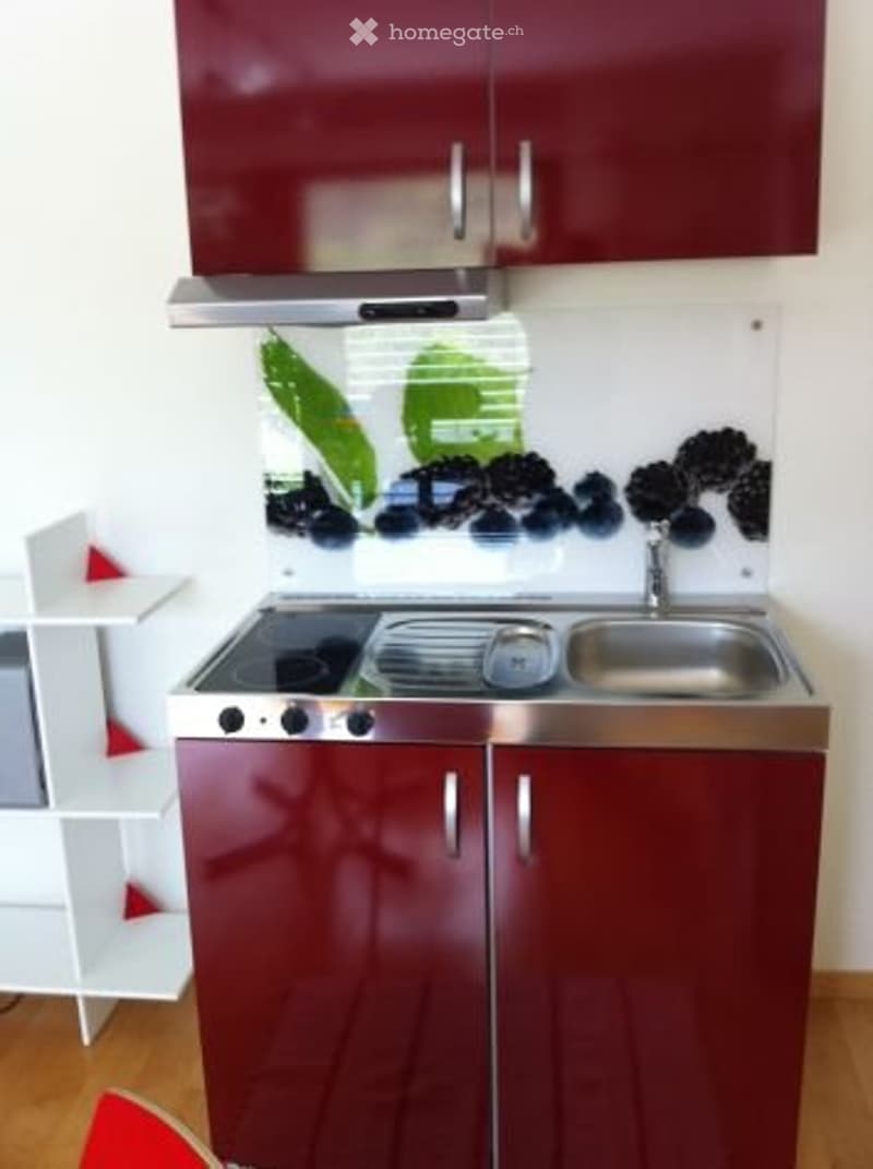 Studio in una posizione da sogno a Schöftland (2)