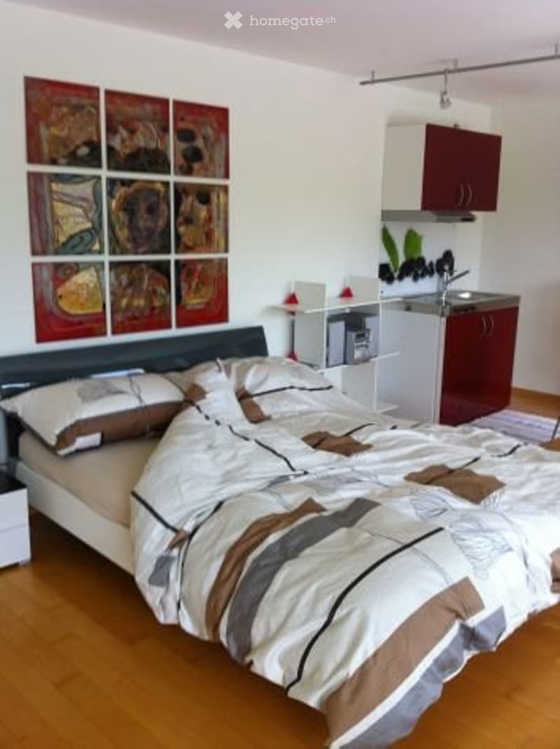 Studio in una posizione da sogno a Schöftland (3)