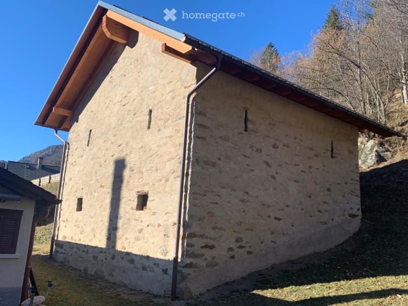 Rustico con progetto approvato - ultimo prezzo (4)
