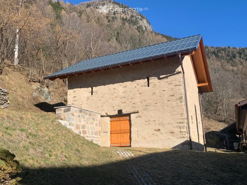 Rustico con progetto approvato - ultimo prezzo (3)