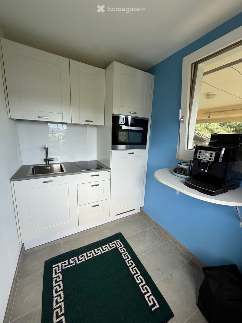Monolocale + cucina e bagno completamente arredato. (4)