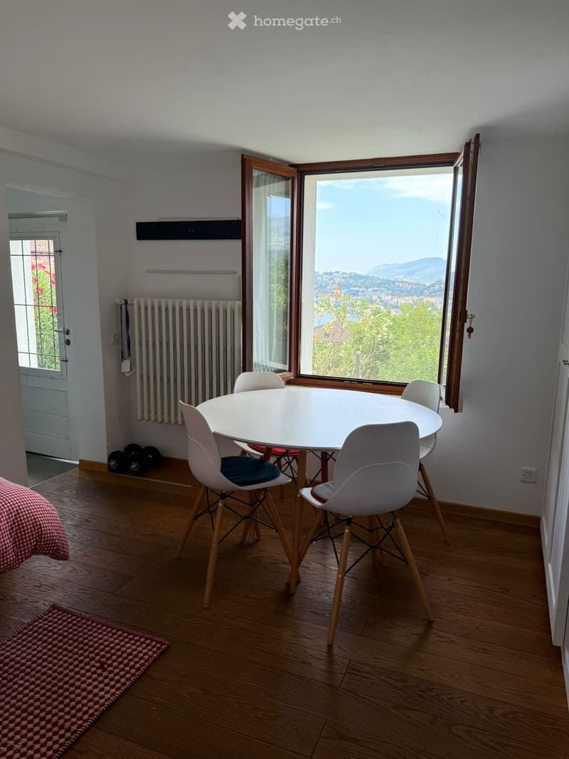 Monolocale + cucina e bagno completamente arredato. (3)