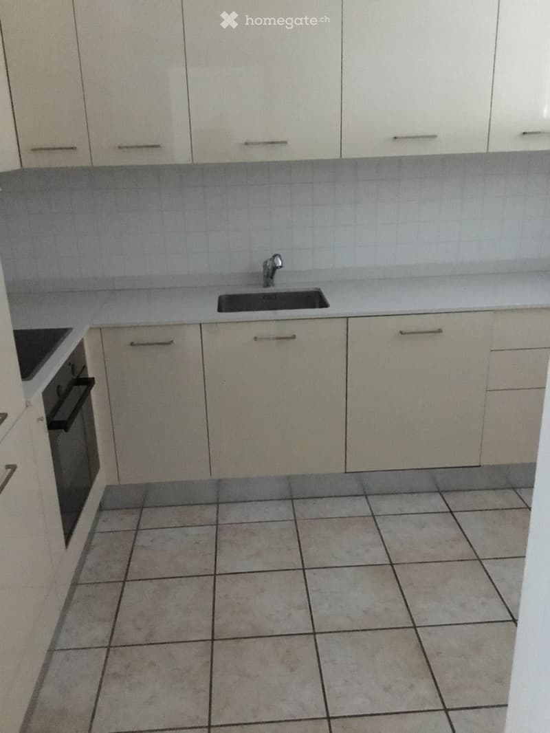 Affittasi appartamento duplex a sementina  4.5 locali (2)